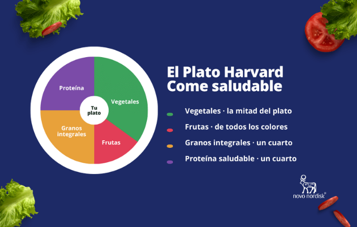Infografía del Plato de Harvard dividido en cuatro secciones: vegetales (mitad del plato), frutas, granos integrales (un cuarto) y proteína saludable (un cuarto), con el título "El Plato Harvard - Come saludable"