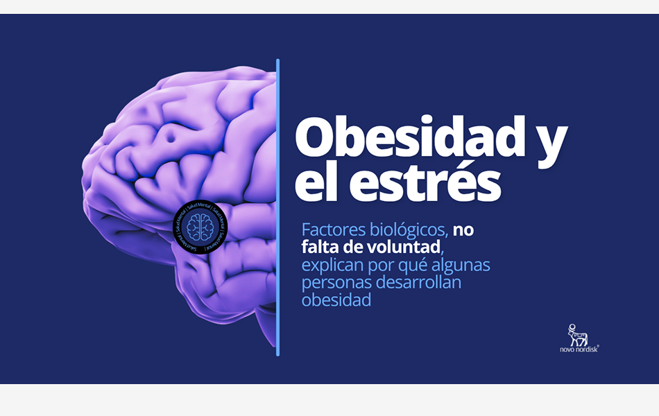 Imagen de la mitad del cerebro explicando la relacion entre la obesidad y el estres