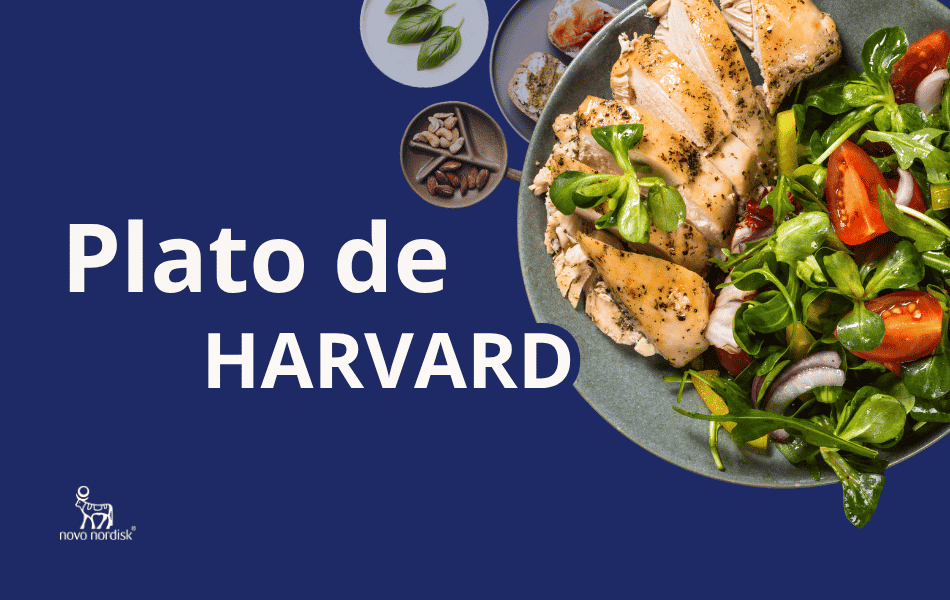 Plato con pollo a la plancha y ensalada de hojas verdes, tomate y cebolla morada, junto al texto "Plato de Harvard", logo de Novo Nordisk