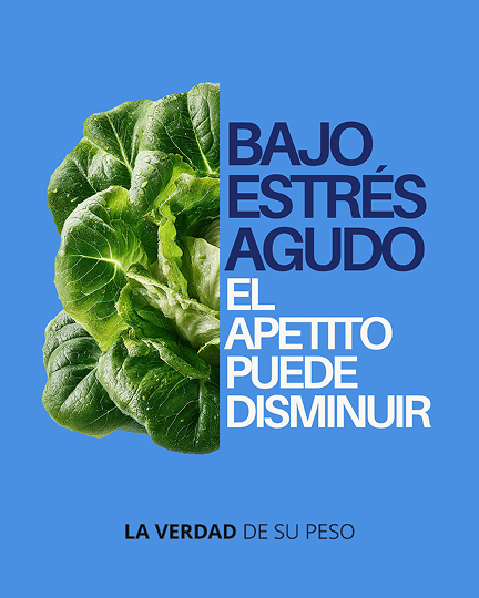 Comida que ayuda al apetito bejo el estres